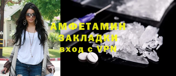 сатива Аркадак