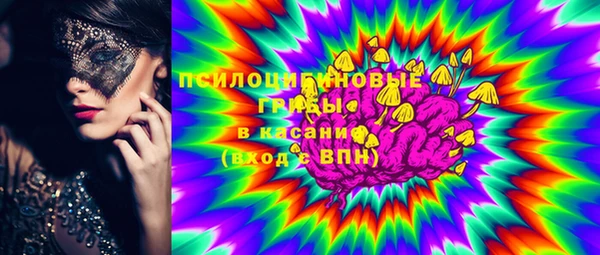 сатива Аркадак