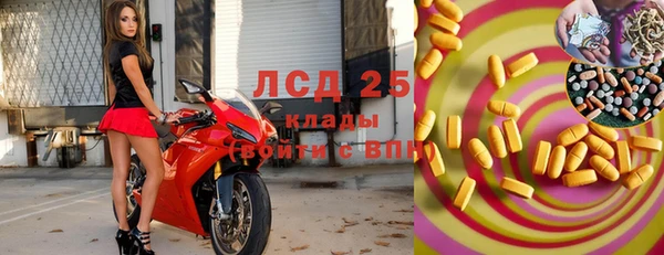 сатива Аркадак